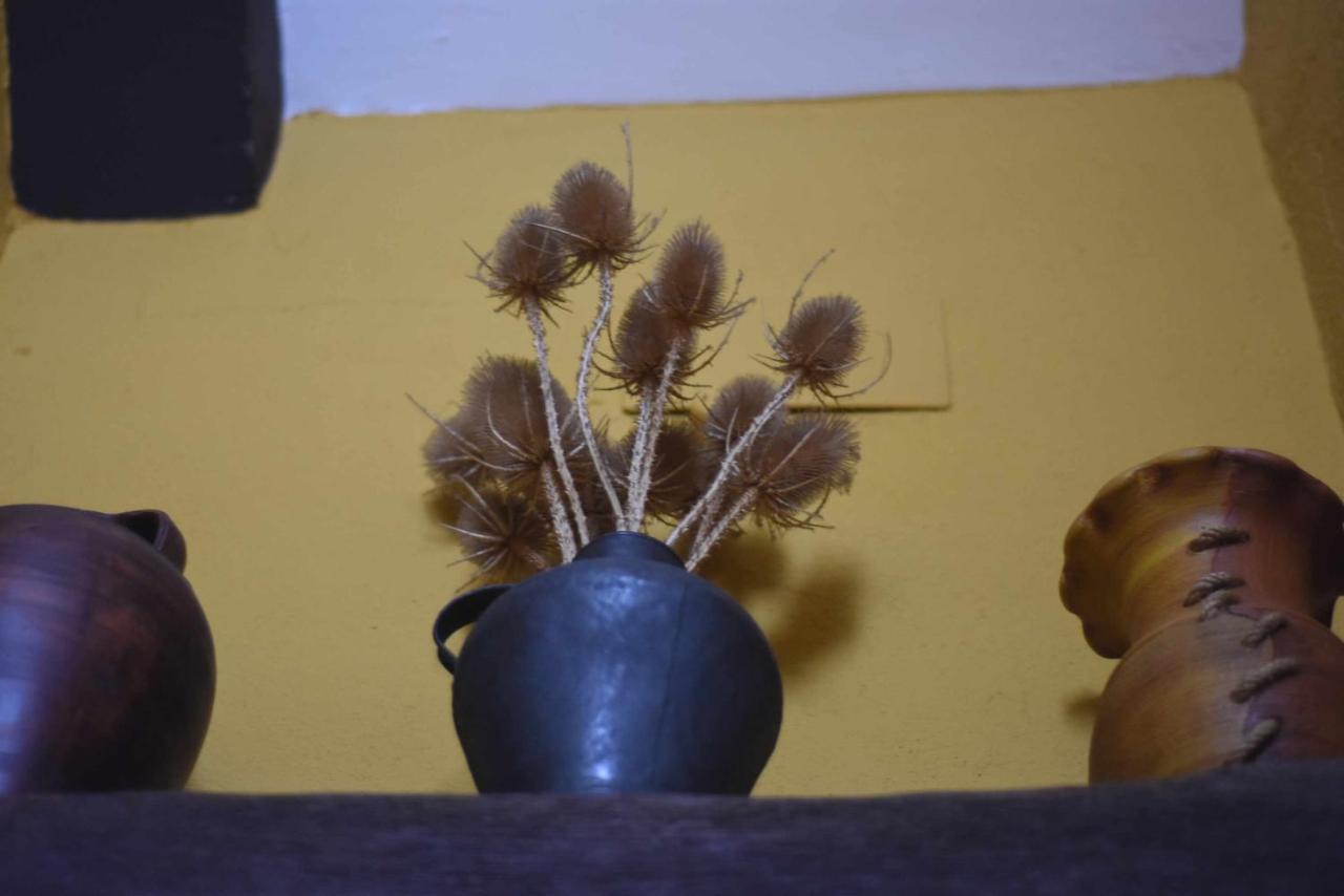 Casa Rural De Estilo Rustico Con Spa Almagro Exteriér fotografie